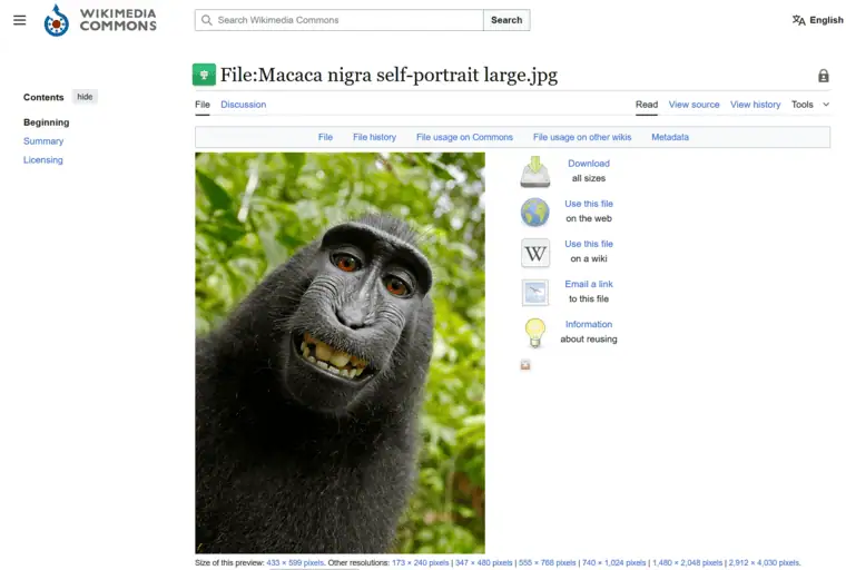 Telegraph: Wikipedia refuses to delete photo as ‘monkey owns it’